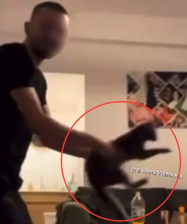 הצעיר בסרטון בו תועד כשהוא מתעלל בחתול שלו. תוכן גולשים, שימוש לפי סעיף 27 א בחוק זכויות היוצרים