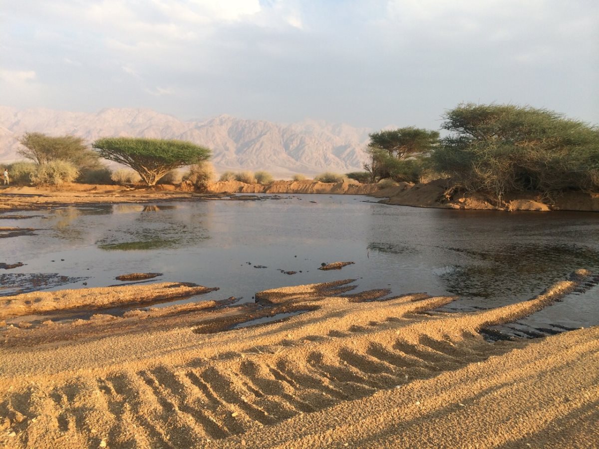 צילום - המשרד להגנת הסביבה