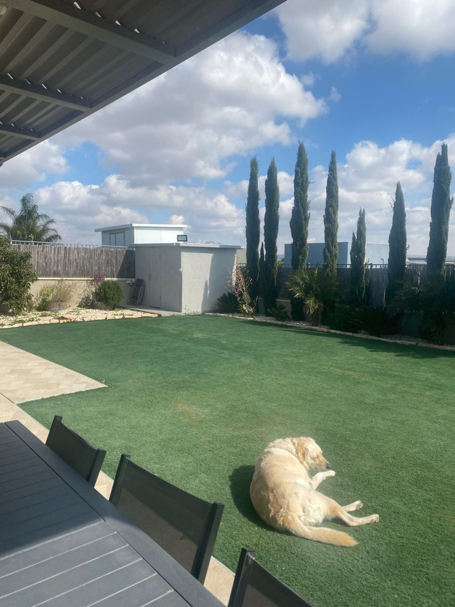 כרמית. קרדיט - רי/מקס