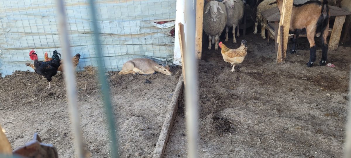 קרדיט - דוברות מרחב נגב