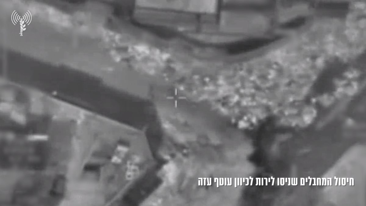 קרדיט - דובר צה"ל