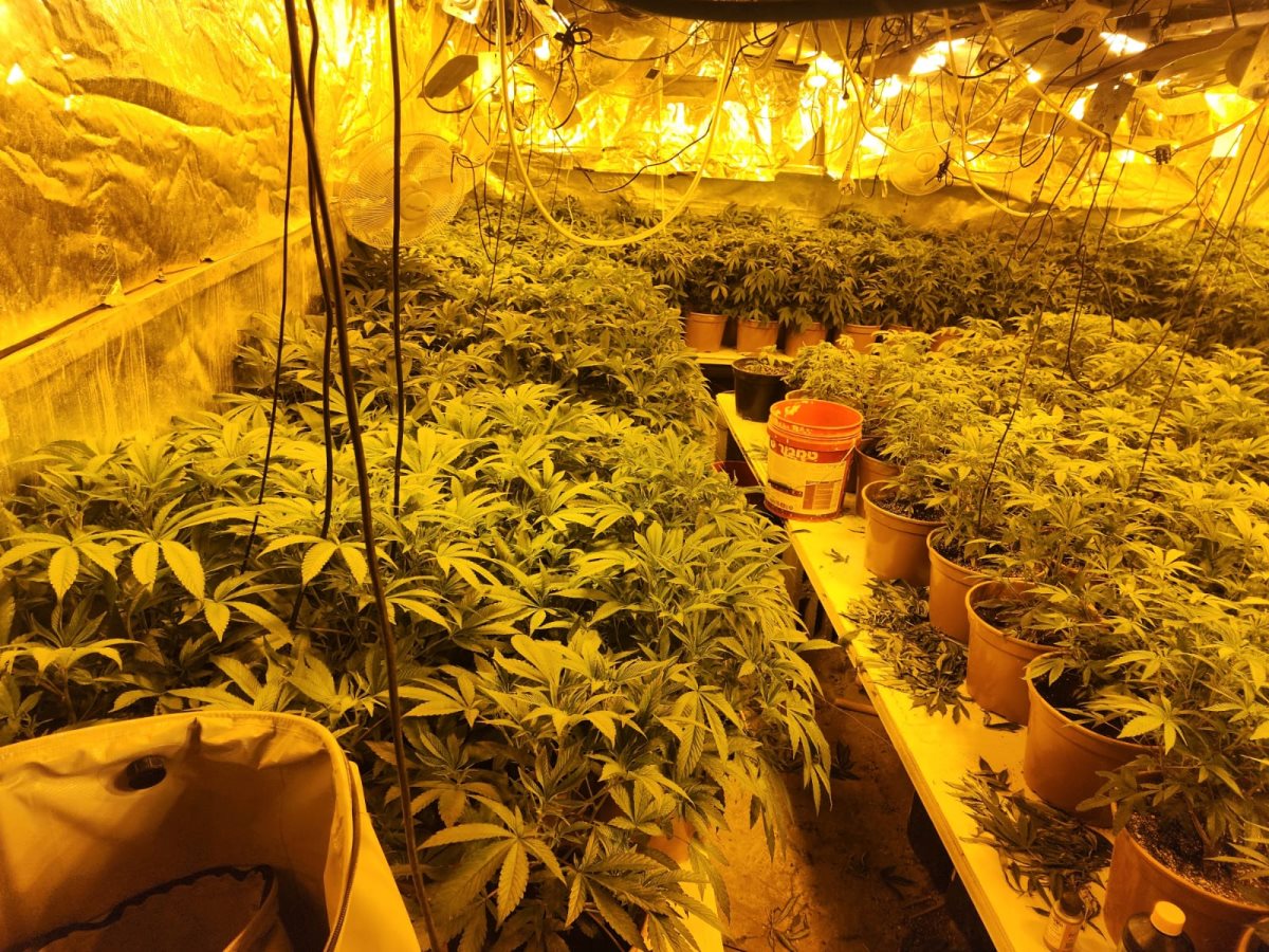 קרדיט - דוברות מרחב נגב