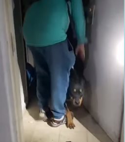 רגעי החילוץ הדרמטיים. תוכן גולשים, שימוש לפי סעיף 27 א' בחוק זכויות היוצרים