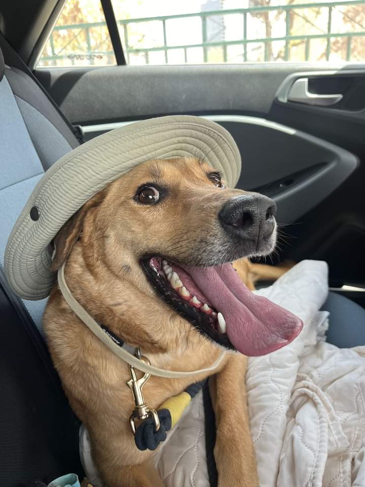 תוכן גולשים, שימוש לפי סעיף 27 א' בחוק זכויות היוצרים 