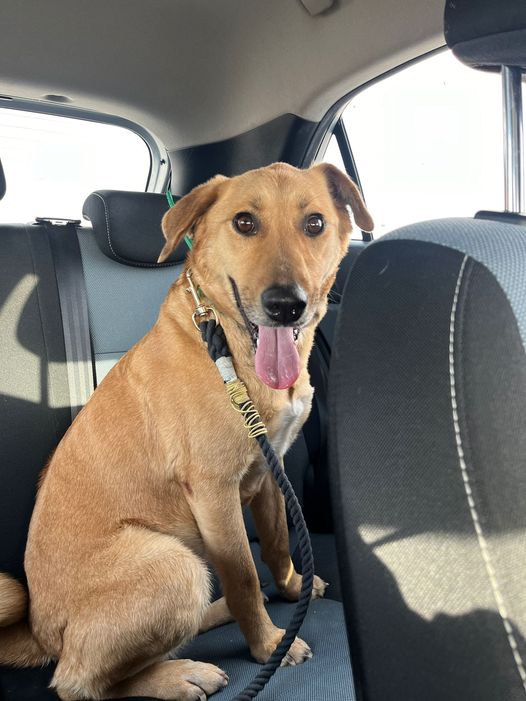 תוכן גולשים, שימוש לפי סעיף 27 א' בחוק זכויות היוצרים