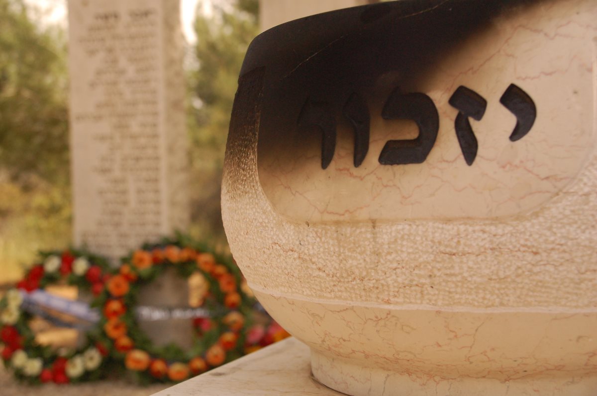 קרדיט - shutterstock