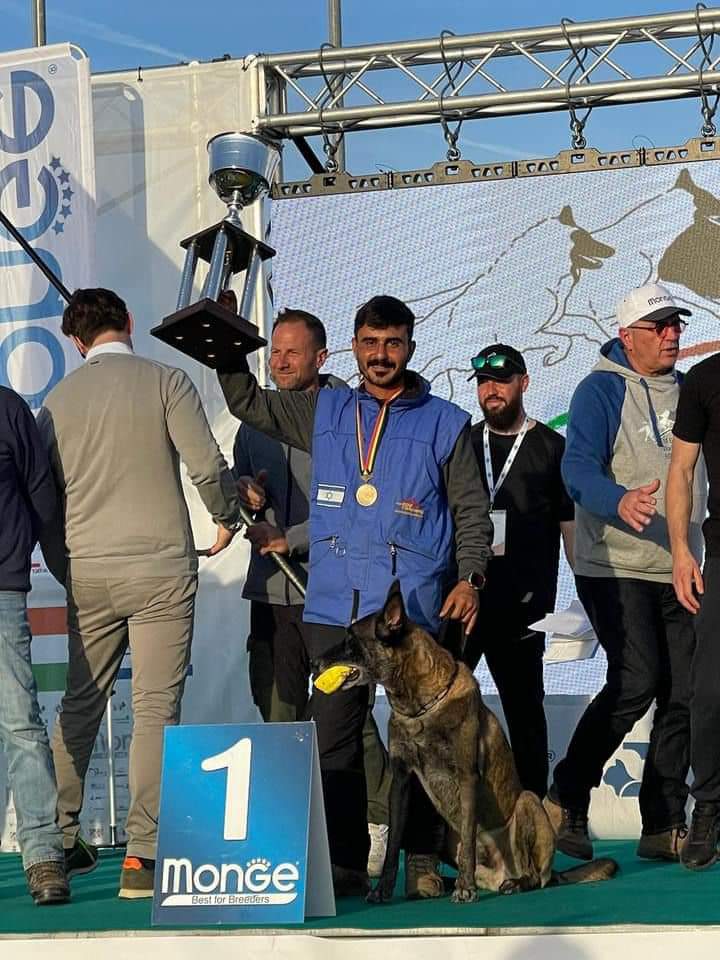 תוכן גולשים, שימוש לפי סעיף 27 א' בחוק זכויות היוצרים