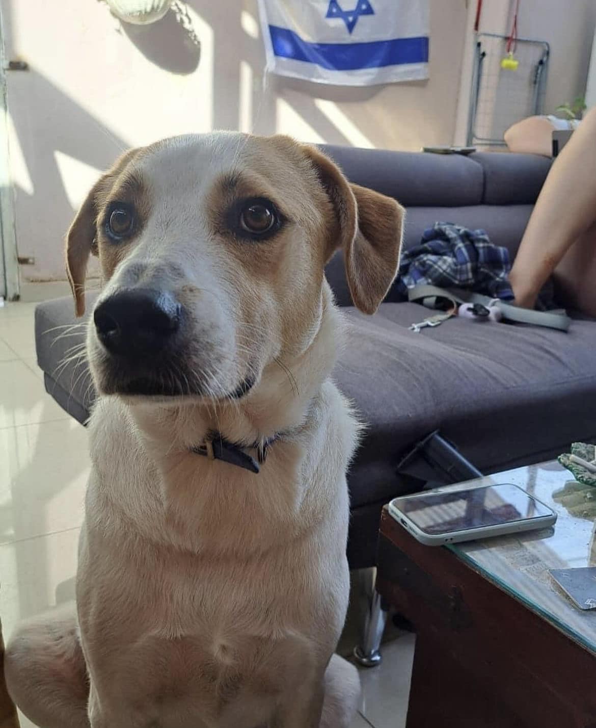 ברני. סעיף 27 א'