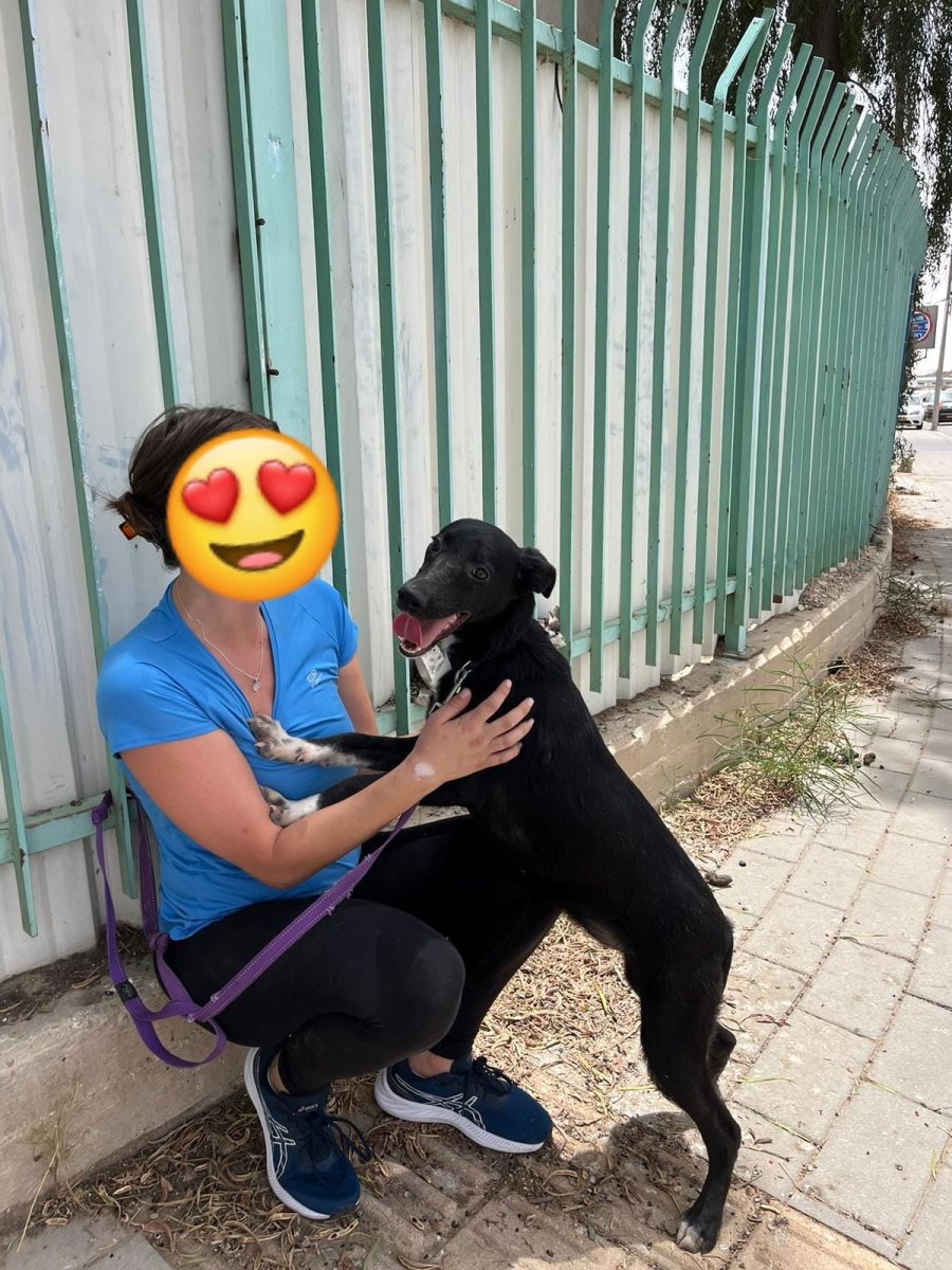 צ'וקה. סעיף 27 א'