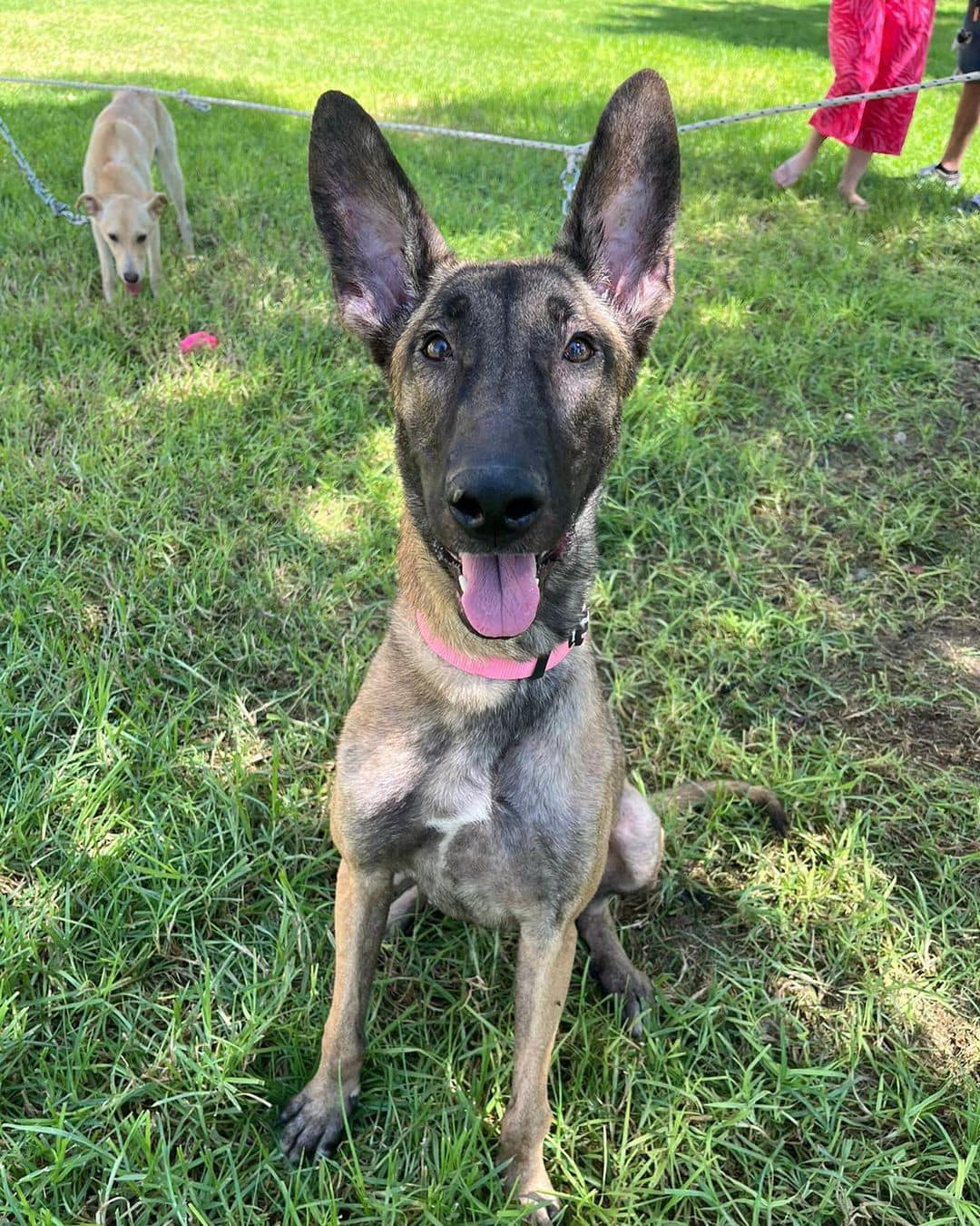 נילי. סעיף 27 א'