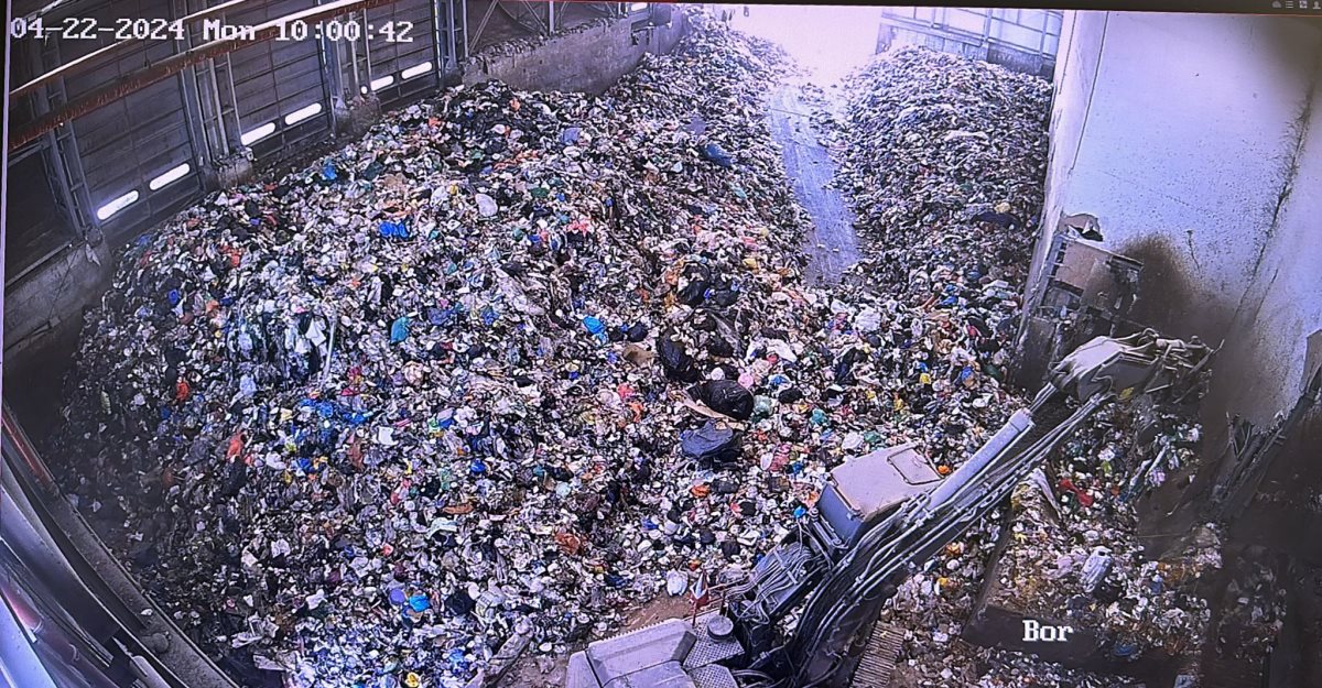 קרדיט - דודאים