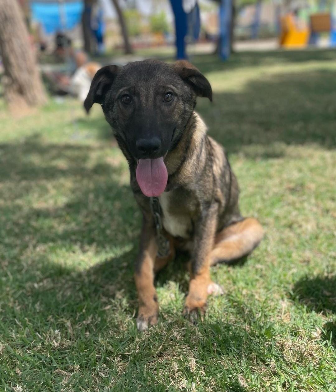 פו. סעיף 27 א'