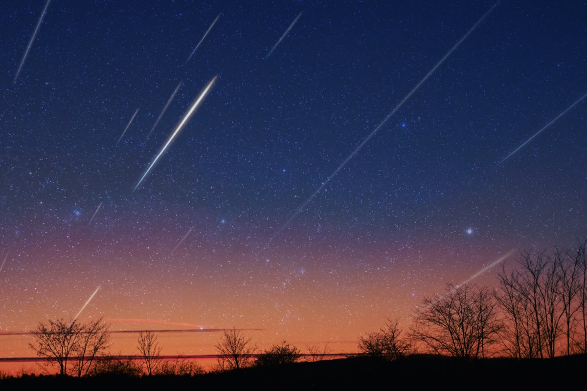 קרדיט תמונה - יח"צ