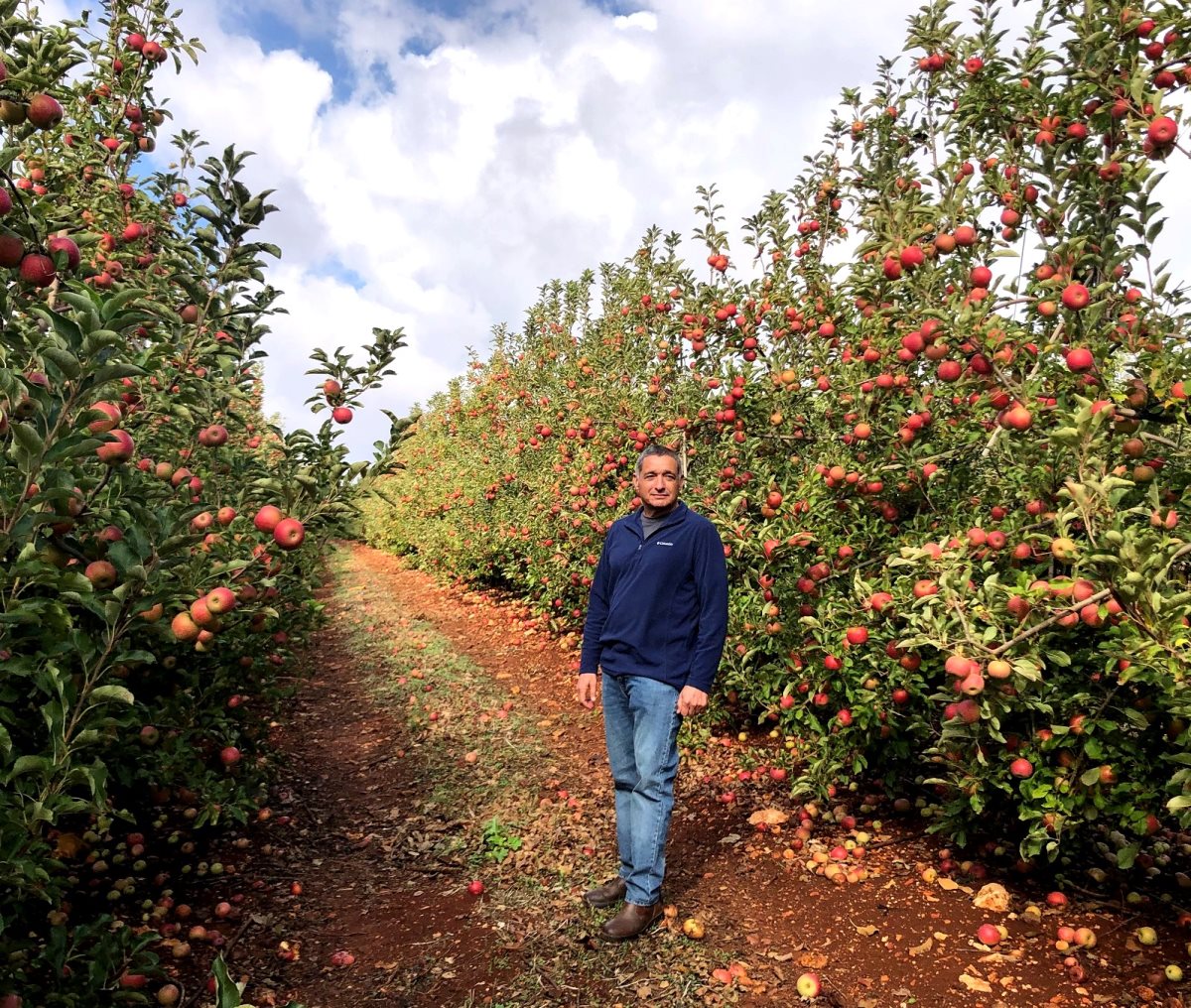 ירון בלחסן במטע תפוחים. קרדיט - צילום פרטי