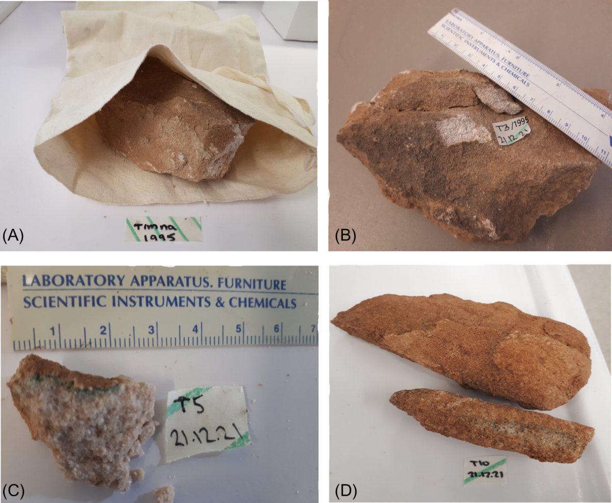 קרדיט: בן גוריון