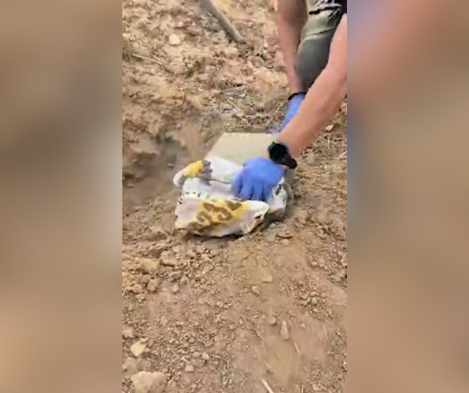 קרדיט - משטרת ישראל