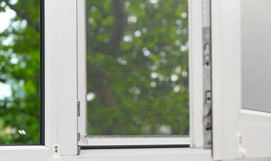 קרדיט התמונה: https://www.winplus.co.il