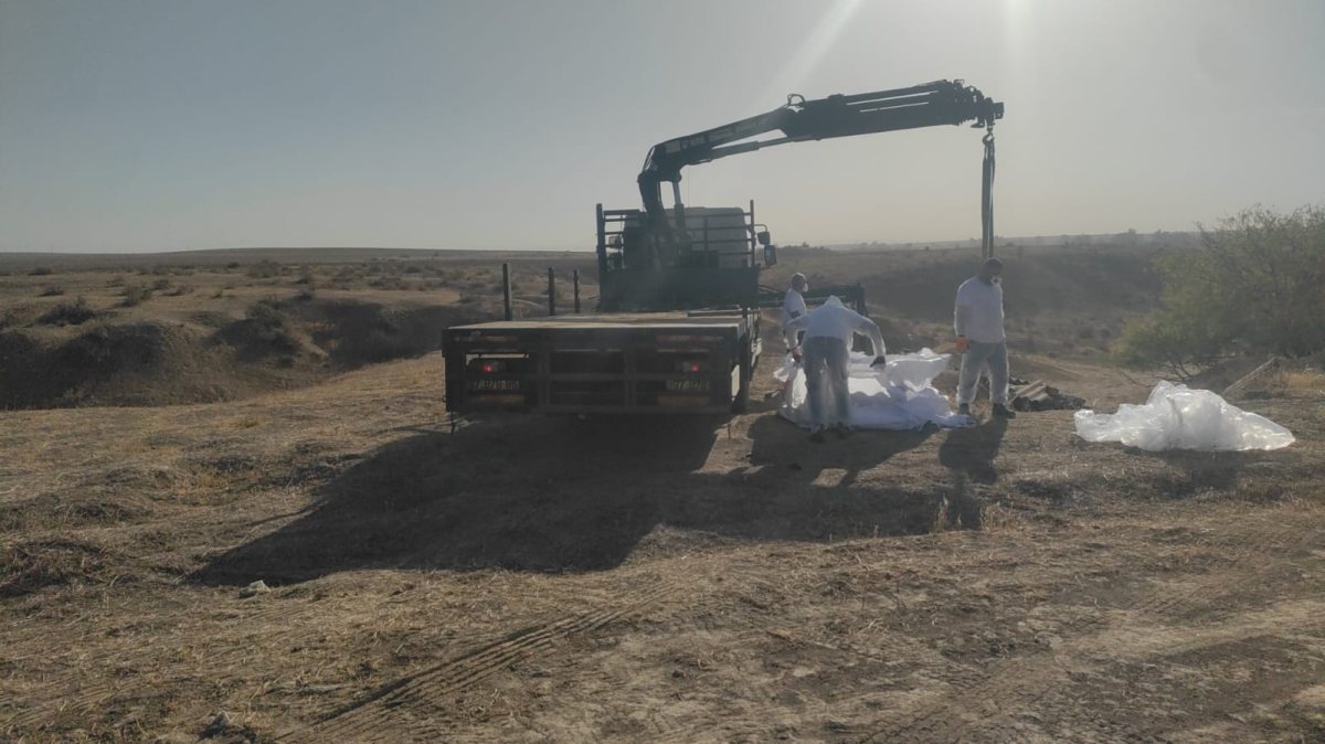 קרדיט: אורן מוסקוביץ'