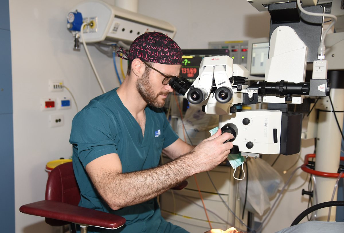 צילום: רחל דוד