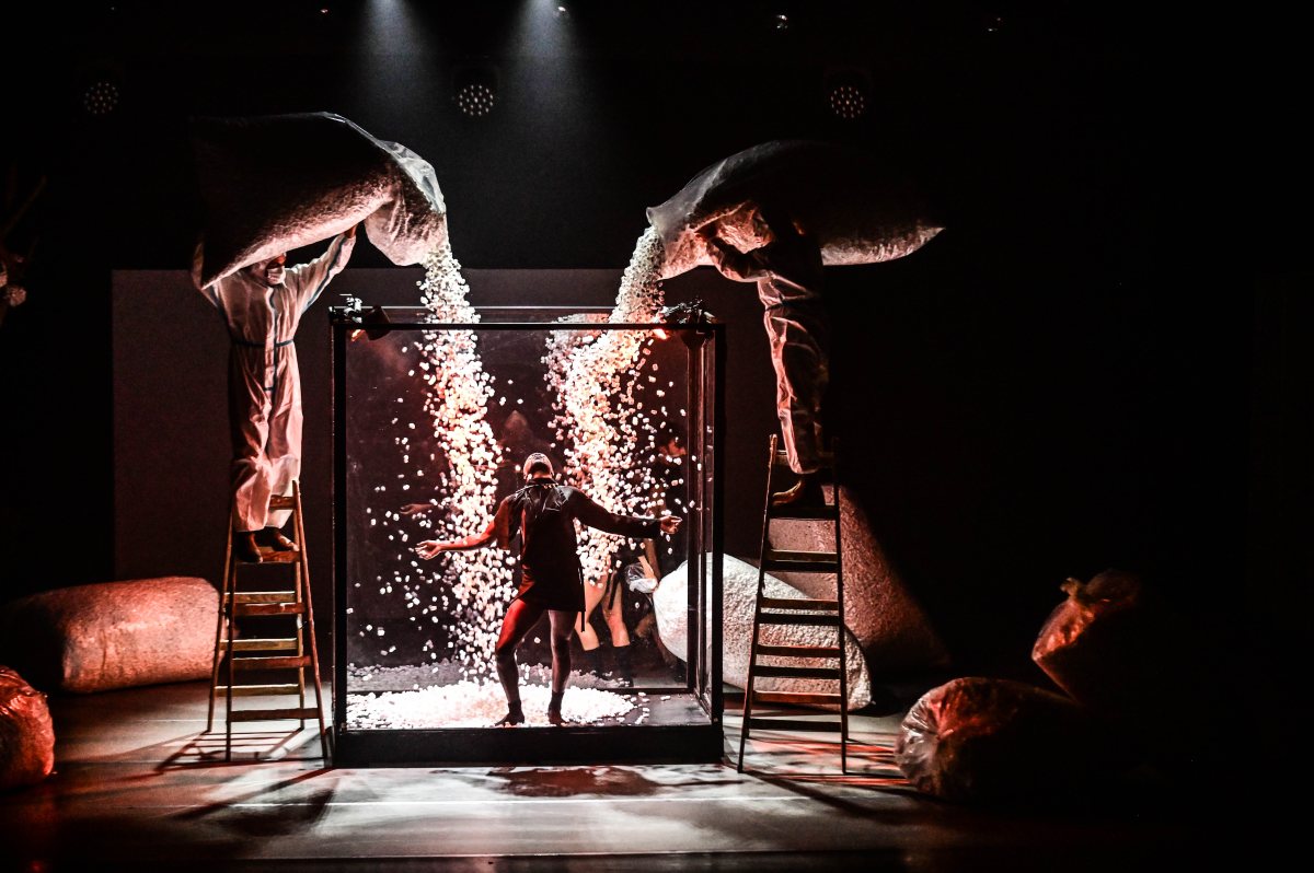 מופע מחול חדש ללירן מיכאלי. צילום: אורי קריספין