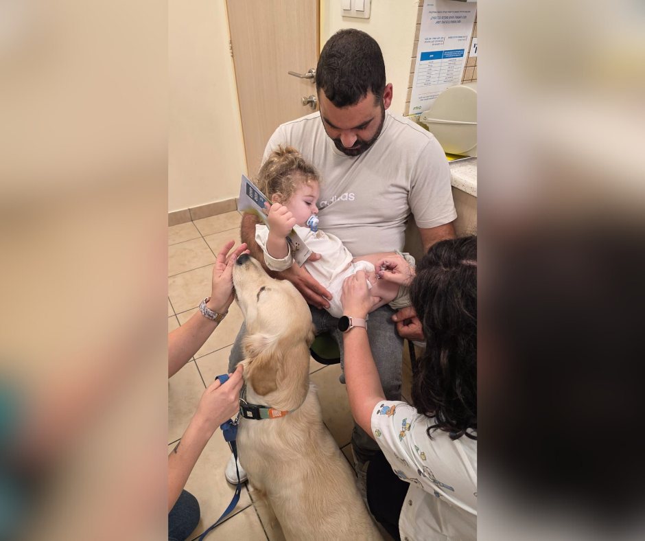 קרדיט: כללית