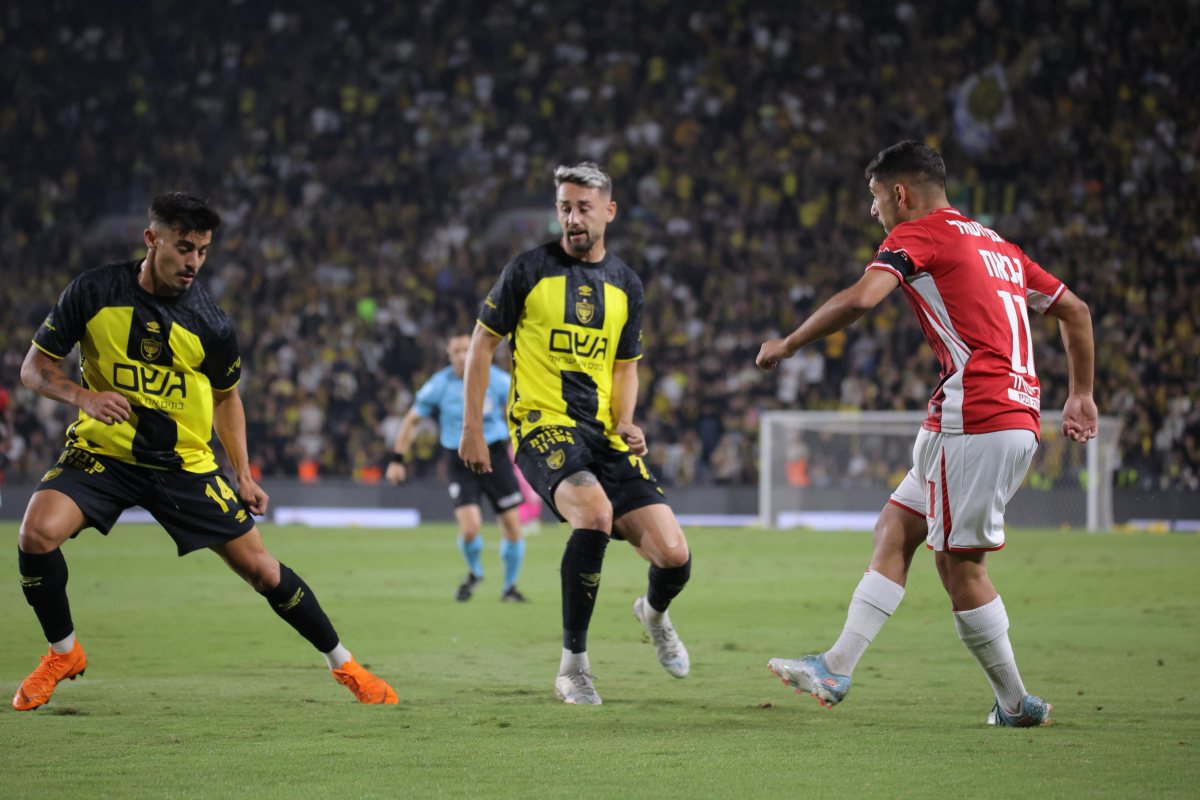 קרדיט: דניאל כהן, ליצ'י