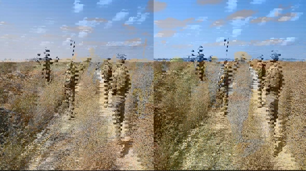 קרדיט: דובר צה"ל