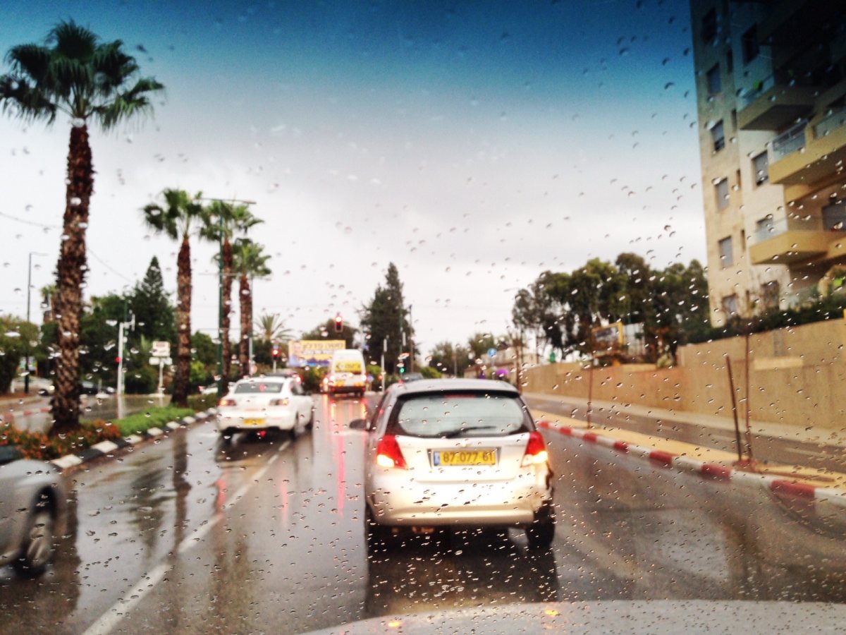 קרדיט: אור ירוק