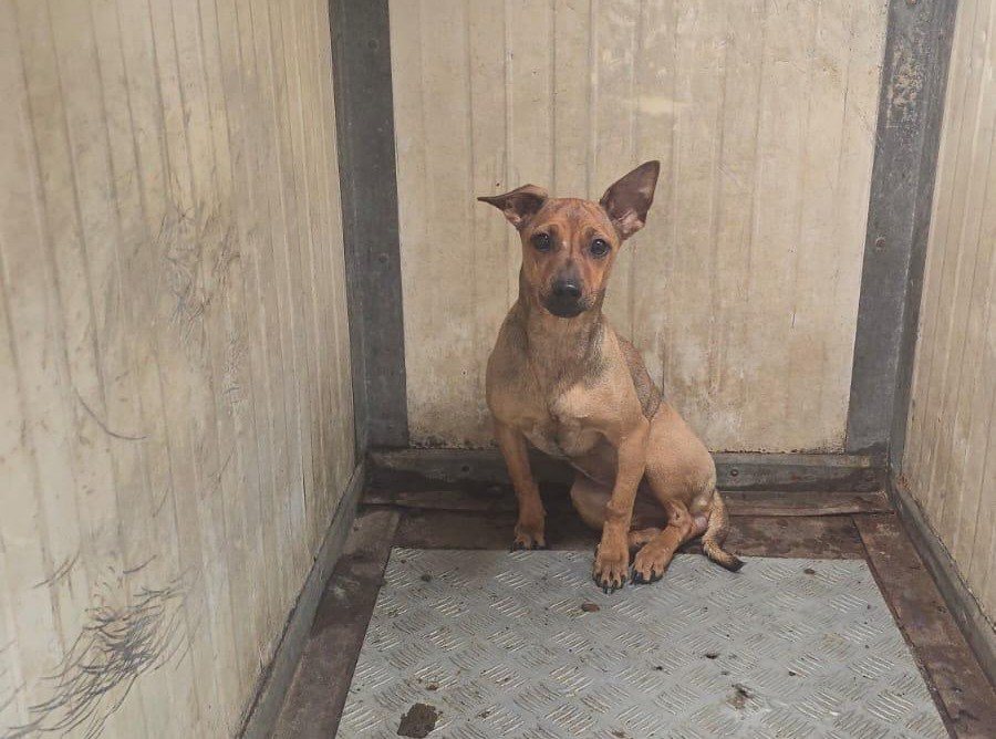 קרדיט: עיריית אופקים