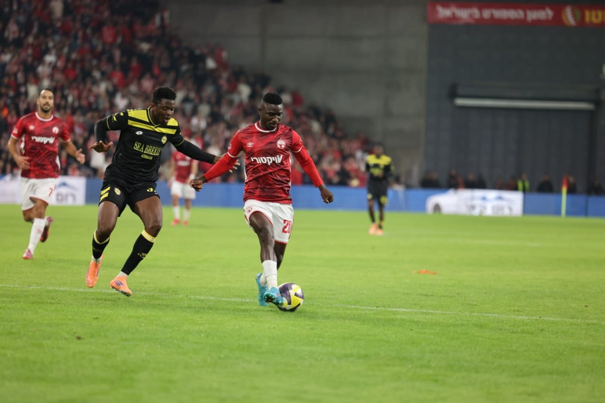 קרדיט: זאב דיקמן