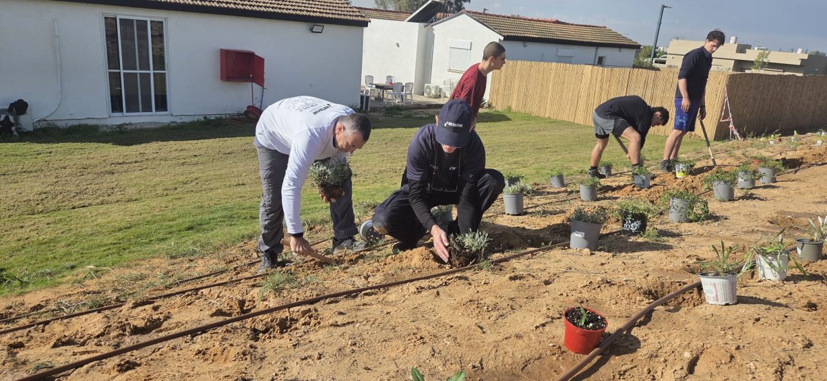 קרדיט: נטפים