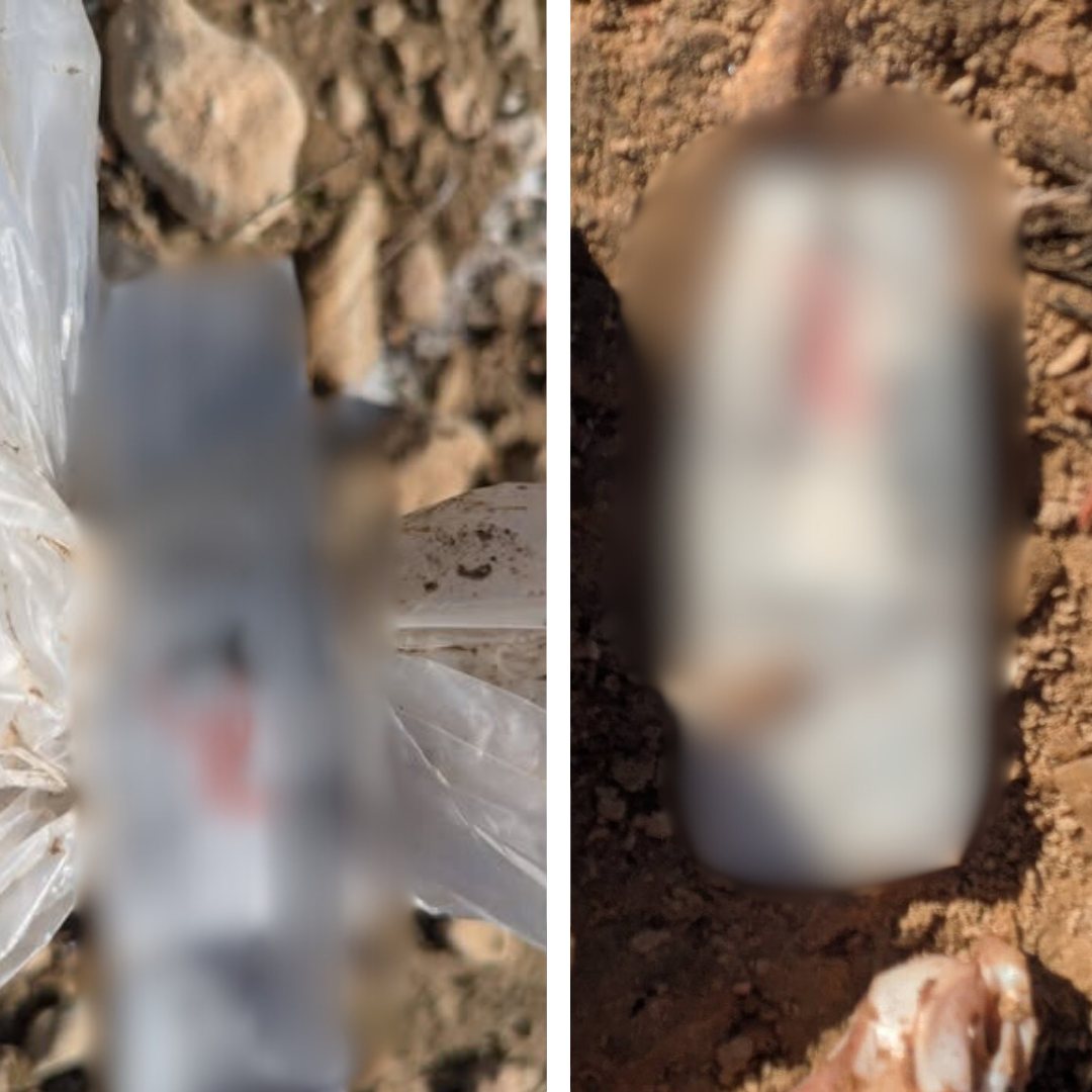 קרדיט: צילום פרטי