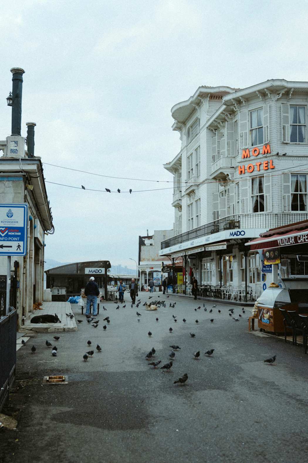 pexels-photo-35354816