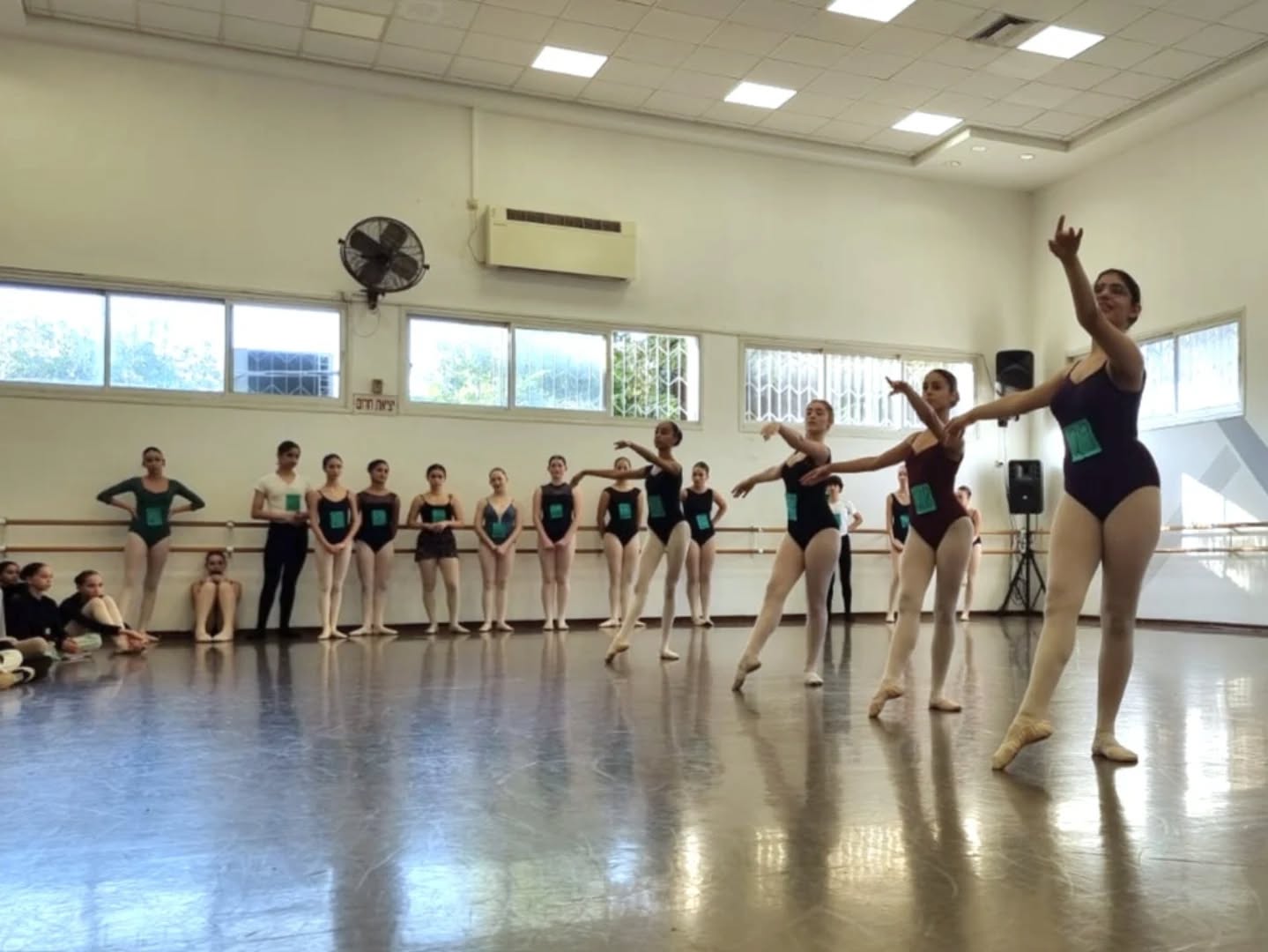 קרדיט: בת דור