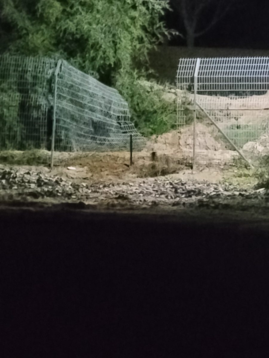 הפרצה בגדר ממנה נכנסו הפורעים. קרדיט: משטרת ישראל