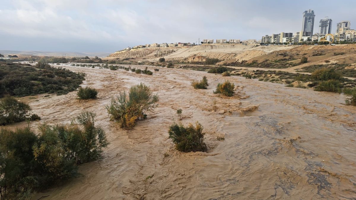 צילם: ויקטור ברנובסקי