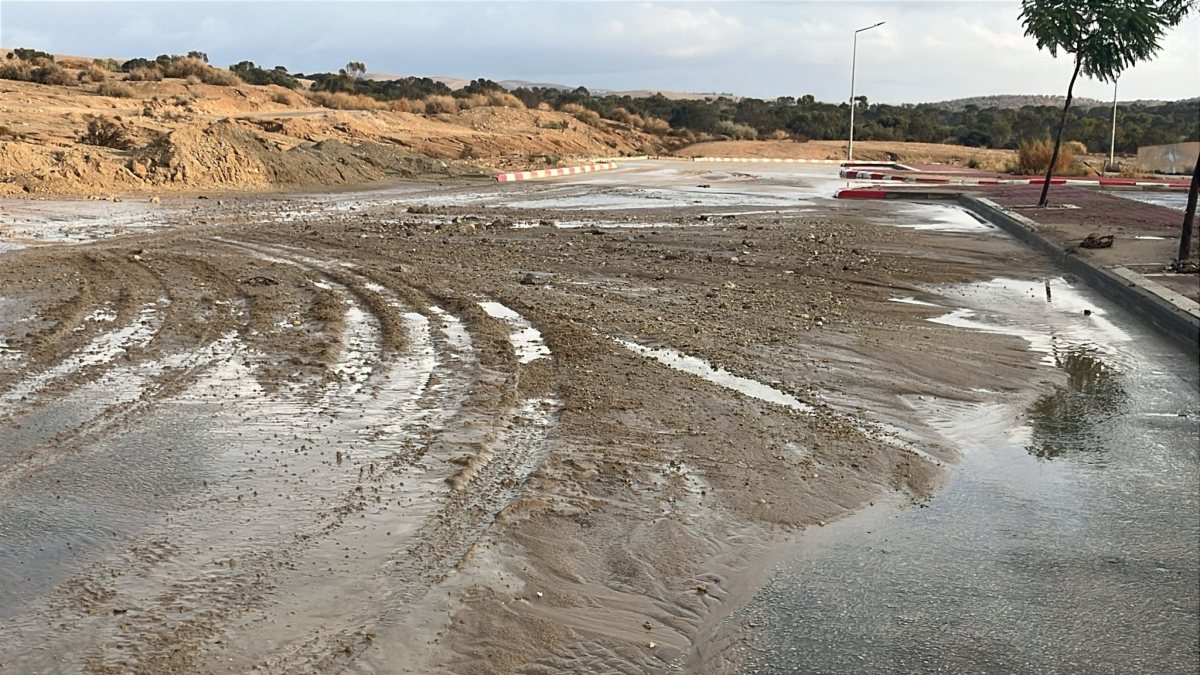 קרדיט: מועצת עומר