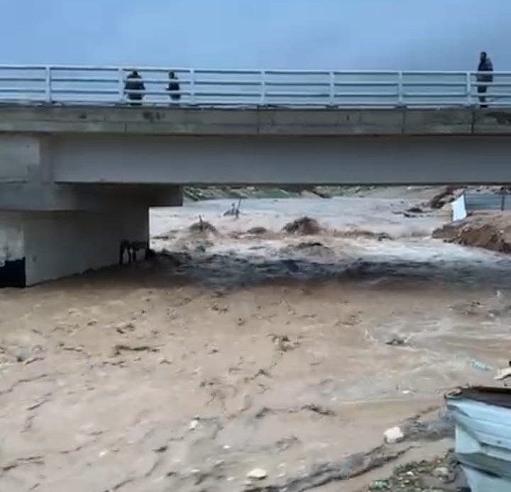 קרדיט: צילום פרטי