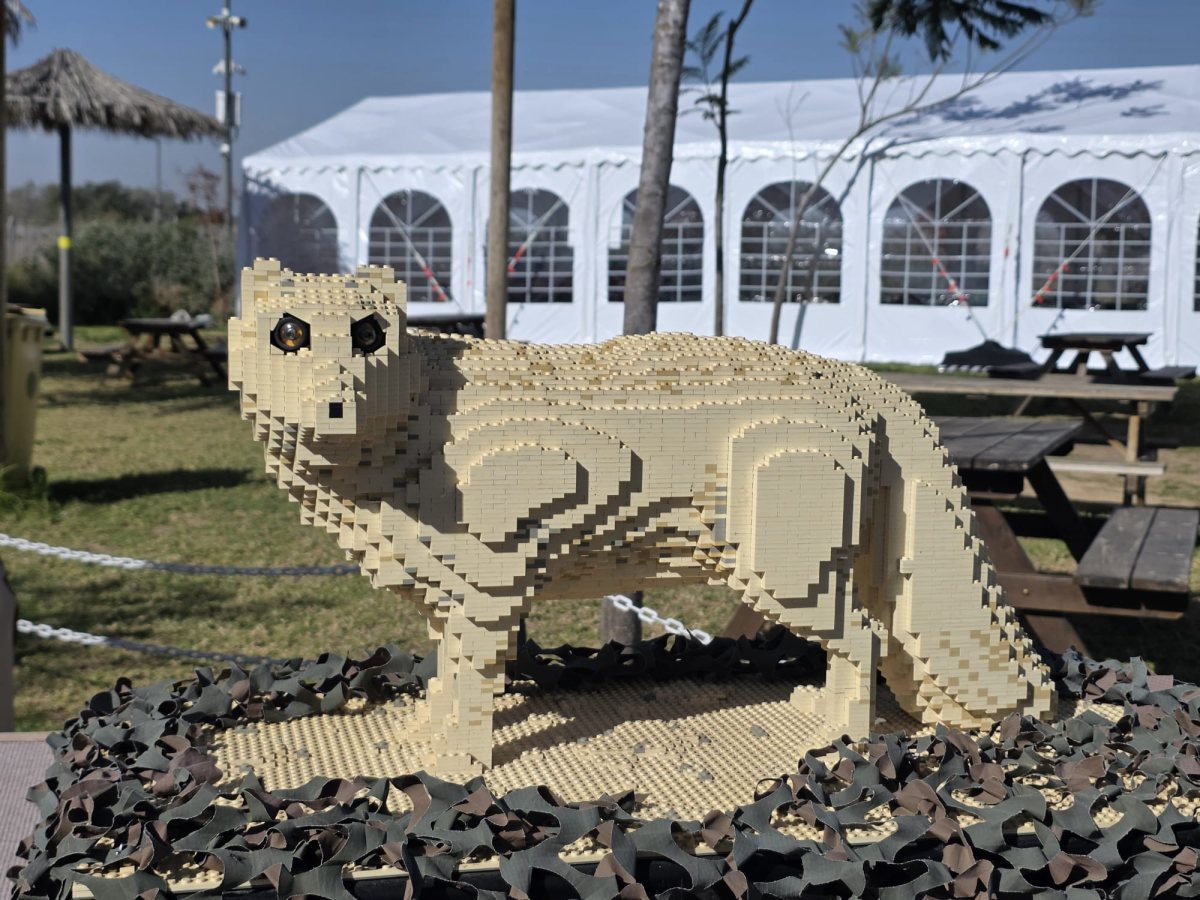 קרדיט: ליאור עמר