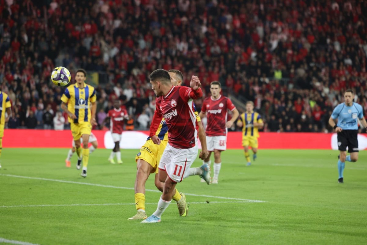 קרדיט: זאב דיקמן