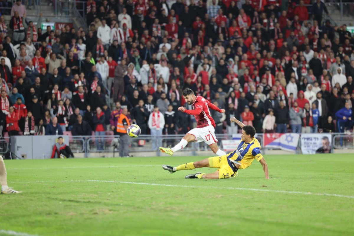 קרדיט: זאב דיקמן