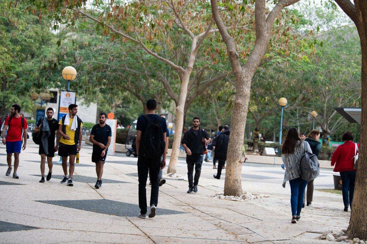 קרדיט צילום: דני מכליס