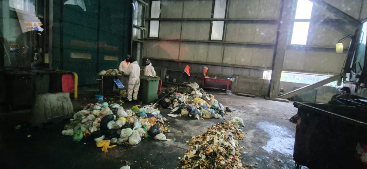 קרדיט צילום: SCE