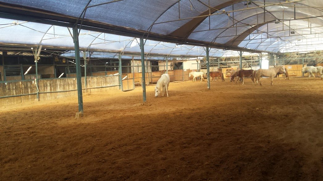 קרדיט: לרכב עם הרוח