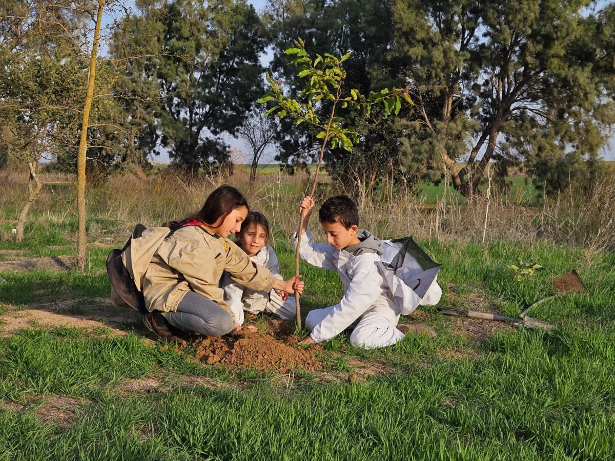 קרדיט צילום: דנה מרון