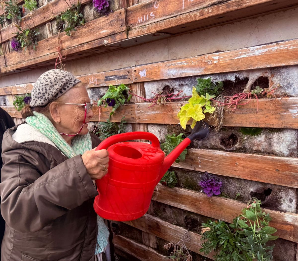 קרדיט צילום: מרכז יום ״השלום״, משמרות