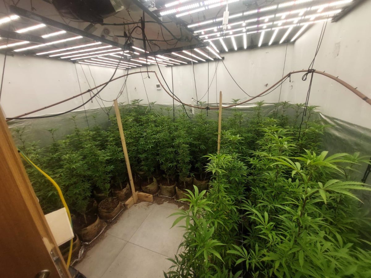 קרדיט: משטרת ישראל