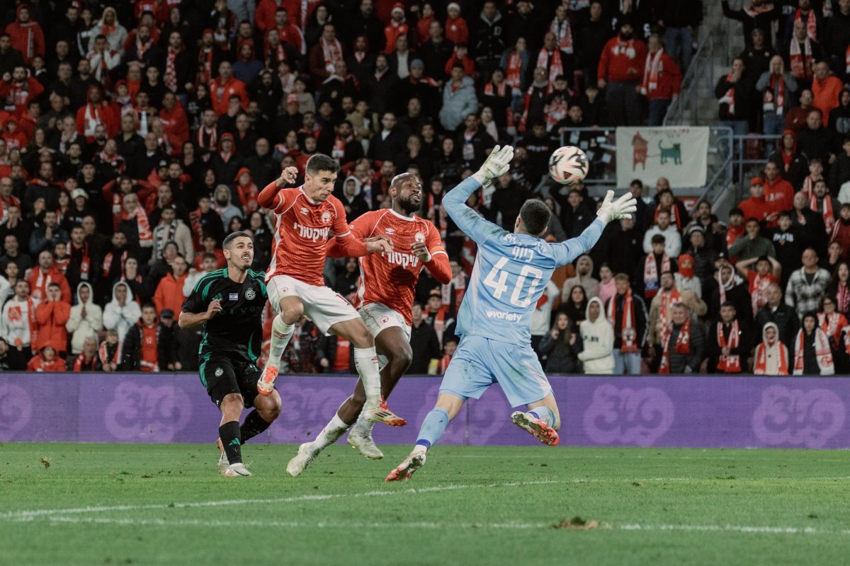 קרדיט: דניאל כהן, ליצ'י ביזנס