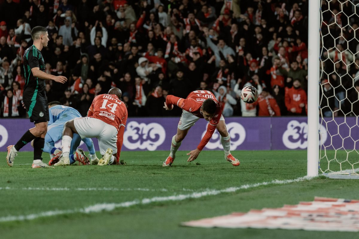 קרדיט: דניאל כהן, ליצ'י ביזנס