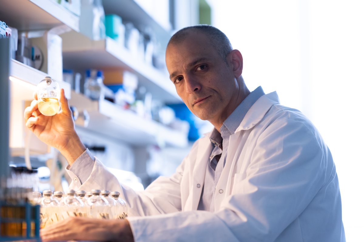 קרדיט צילום: דני מכליס